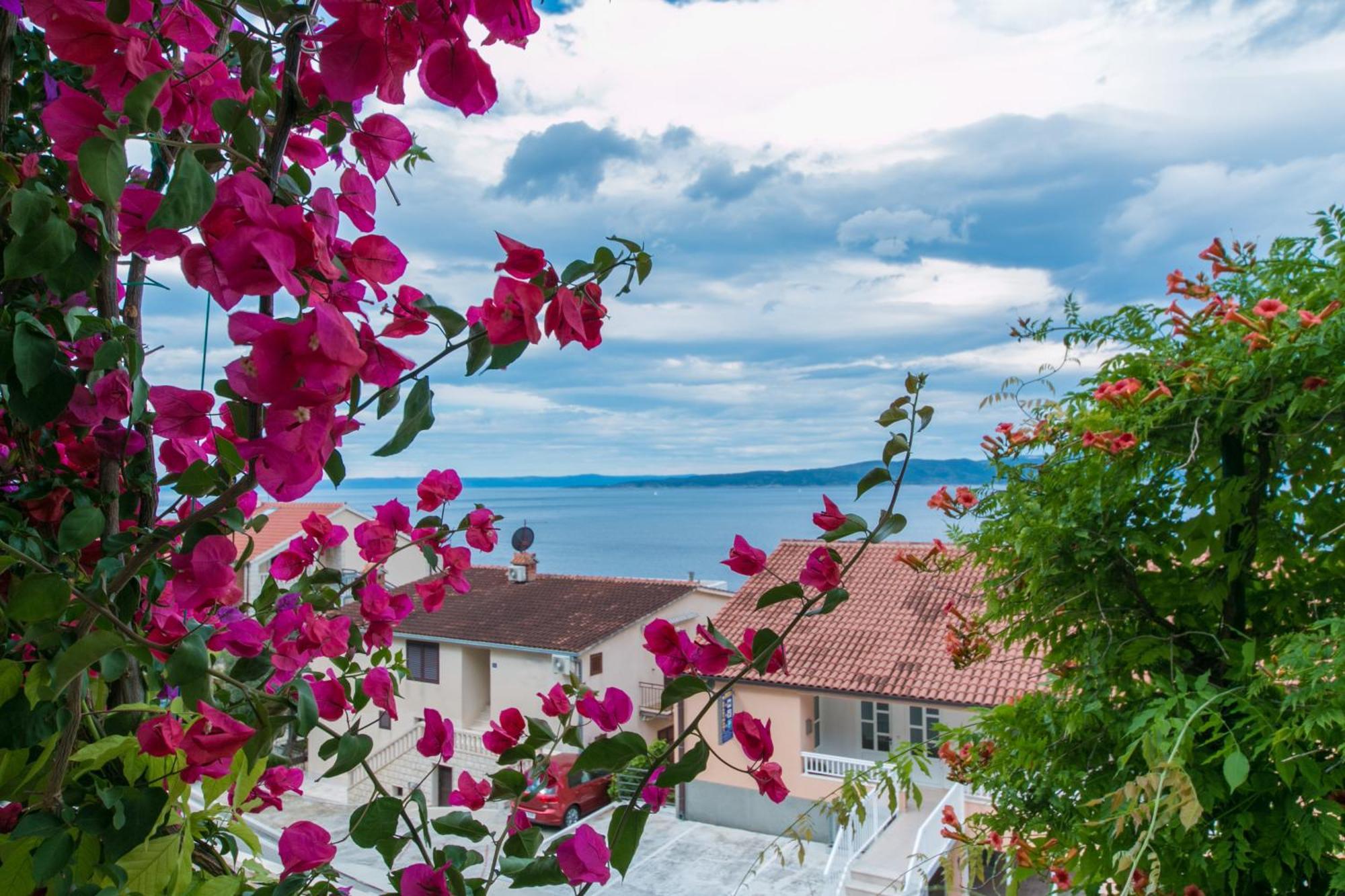 Apartments And Rooms By The Sea Brela, Makarska - 2752 Esterno foto